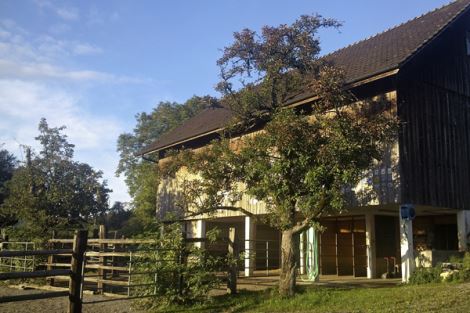 Pferdekoppel auf dem Bio-Bauernhof der Familie Wyder in Wangen ZH